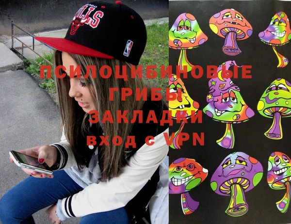 apvp Нея