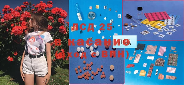 apvp Нея