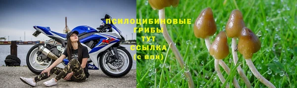 кокс Надым