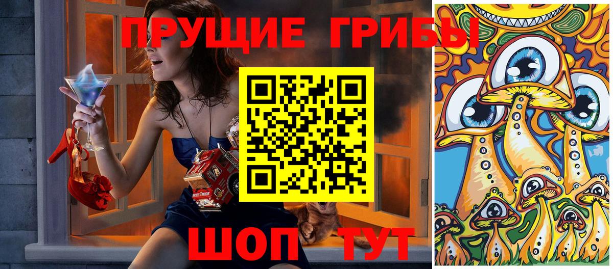 Псилоцибиновые грибы мухоморы Павловский Посад