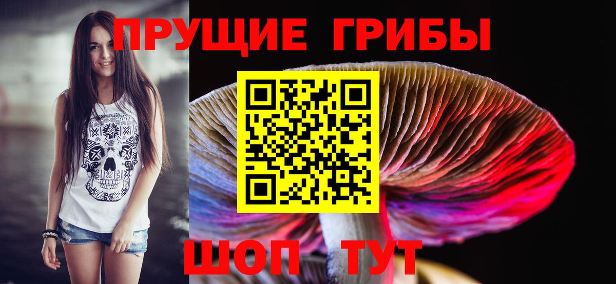 Галлюциногенные грибы мухоморы  Псилоцибиновые грибы ЛСД  Павловский Посад  Вход с VPN 