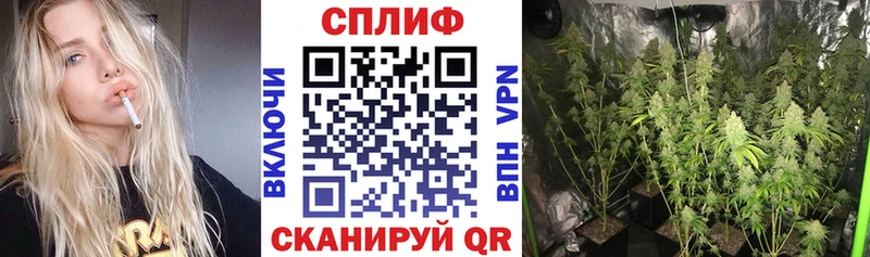 Шишки марихуана сатива  Павловский Посад 